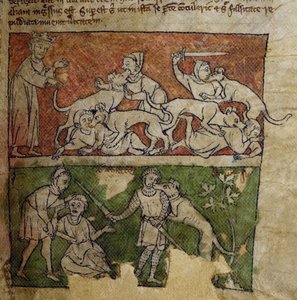 CCA-LitMs/D/10 fol. 6r Dog, från Bestiary av English School