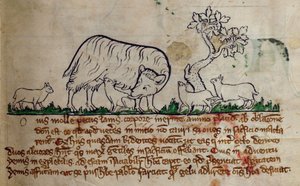 CCA-LitMs/D/10 fol. 8r Får, från Bestiary av English School