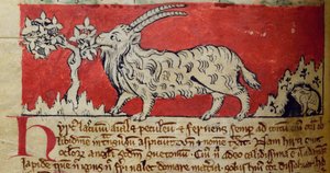 CCA-LitMs/D/10 fol. 8v Goat, från Bestiary av English School