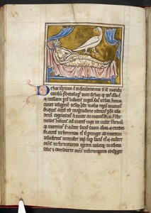 Fågeln Caladrius - Bestiarium, Royal MS 12 C XIX, f.47v av English School