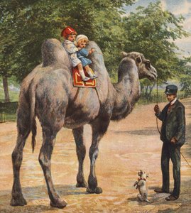 Camel (färglitografi) av English School