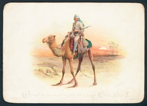 Camel Corps julkort av English School