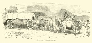 Cape Bullock-vagn