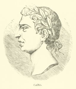 Cato av English School