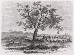 Kyrkogård och heligt träd i Mbinda, från "The History of Mankind", Vol.1, av professor Friedrich Ratzel, 1896. av English School