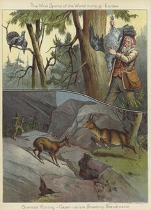 Gemssjakt och kapris-cailzie-skytte av English School
