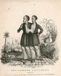 Chang och Eng, de siamesiska ungdomarna, 18 år gamla av English School