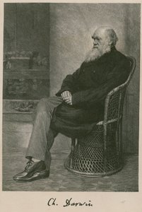 Charles Darwin av English School