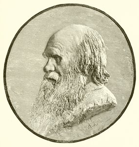 Charles Darwin av English School