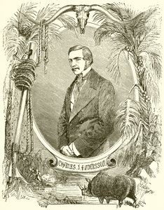 Charles J Andersson av English School