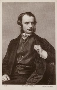 Charles Kingsley (1819-1875), engelsk präst, historiker och romanförfattare (litografi) av English School