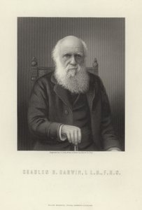 Charles R. Darwin av English School