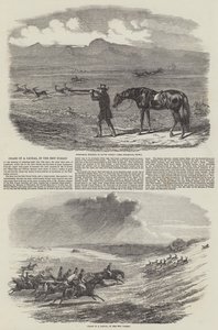 Chase of a Jackal, in the New Forest (gravyr) av English School