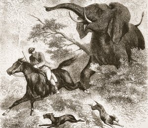 Jagad av en elefant, illustration från The Pictorial Edition av David Livingstones liv och upptäckter av J. Ewing Richie, pub. av A. Fullarton & Co., 1876 av English School
