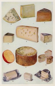 Cheddar; Gorgonzola; Double Gloster; Parmesan; Gruyere; Roquefort; Dutch; Stilton; Camembert; St Ives; Cream (färglitografi) av English School