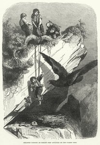 Kinder, die ein Adlernest ausrauben, werden vom Elternvogel angegriffen (Gravur) von English School