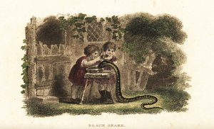 Kinder schlagen mit Löffeln auf den Kopf einer schwarzen Schlange, die gierig aus einer Untertasse Milch trinkt von English School