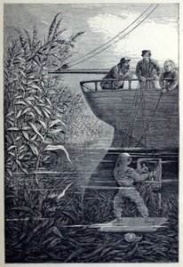 Rensa skruven, från Under vågorna, eller Dykning i djupt vatten, pub. 1887. av English School
