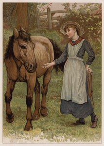 Clever Dobbin (kromolit) av English School