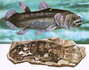 Coelacanth och dess fossil av English School
