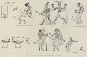 Seriefris från Mr Flinders Petries egyptiska upptäckter (gravyr) av English School