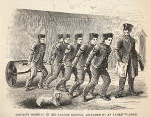 Fångar som arbetar i trädgården, med en beväpnad vaktmästare, illustration från The Criminal Prisons of London och Scenes from Prison Life av Henry Mayhew och John Binny, pub. 1862 av English School