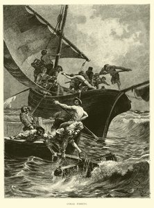Korallfiske av English School