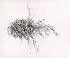 "Krabbnebulosan" av William Parsons, från "Observations on some of the Nebulae" från "Philosophical Transactions of the Royal Society av English School