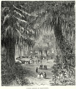 Cypresserna i Chapultepec (gravyr) av English School