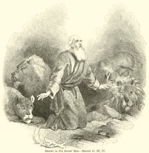 Daniel i lejonhålan, Daniel, vi, 16, 17 av English School