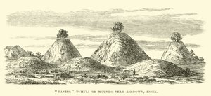 Danska Tumuli eller Mounds nära Ashdown, Essex av English School