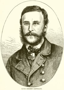 David Herbert Llewellyn av English School