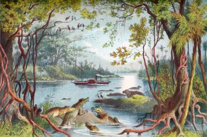 David Livingstones skepp The Ma-Robert på Zambezifloden, Afrika, under hans Zambeziexpedition på 1800-talet. Från The Life and Explorations of Dr. Livingstone publicerad c.1875. av English School