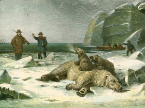 Döda isbjörnar och ungar av English School