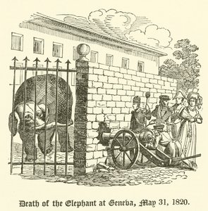 Elefantens död i Genève, 31 maj 1820 av English School