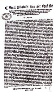 Deklaration av Lords som anger Earl of Bothwell som mördaren av Lord Darnley, 1567 (penna och bläck på papper) av English School