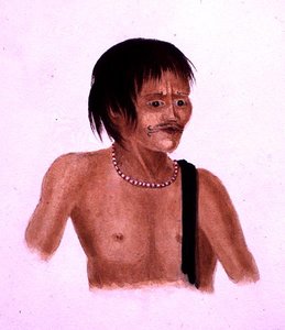 Demerara (akvarell på papper) av English School