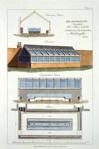 Design for An Aquarium, utförd för The Marquis of Blandford at Whiteknights, 1806 av English School