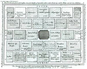 Design för en färdig köksträdgård, från New Principles of Gardening, av Betty Langley, 1726 av English School