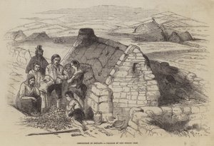 Utödande i Irland, misslyckad potatisskörd av English School
