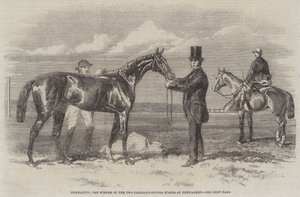 Diophantus, vinnaren av tvåtusenguinea-insatserna på Newmarket (gravyr) av English School