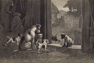 Hund (chromolitho) av English School
