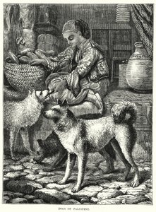 Dogs of Palestine (gravyr) av English School