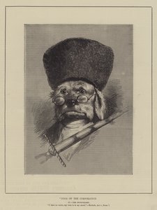 Dogs of the Corporation (gravyr) av English School