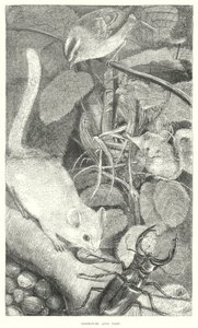 Dormouse (gravyr) av English School