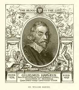 Dr William Harvey av English School