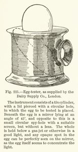 Äggtestare, som tillhandahålls av Dairy Supply Company, London av English School