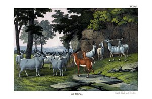 Älg av English School