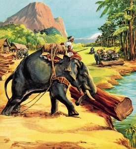 Elefant. Illustration från Elephant Bill av Liuet. Överste J.H. Williams