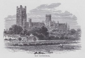 Ely Cathedral (gravyr) av English School